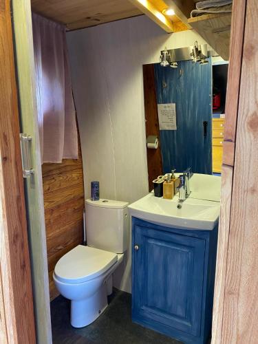 a small bathroom with a toilet and a sink at Bungalow accueillant à Saint-Pardoux avec piscine partagée in Saint-Pardoux