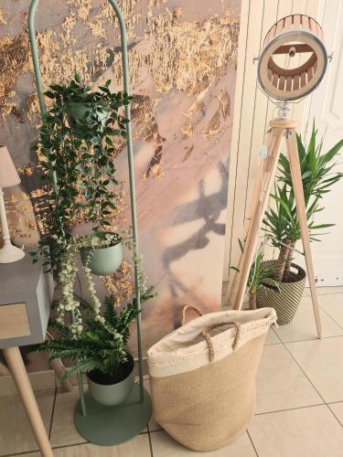 un groupe de plantes en pot assis à côté d'un mur dans l'établissement Studio devant la Mer, à Antibes