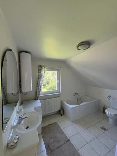 a bathroom with a sink and a tub and a toilet at Villa Osik in Sarajevo