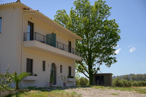 a house with a tree in front of it at Antinea Olympian Villa in Olympia