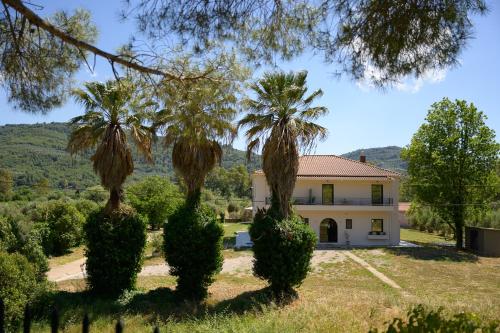a house with two palm trees in front of it at Antinea Olympian Villa in Olympia