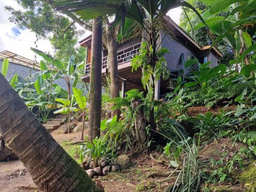 ein Haus mit einer Palme davor in der Unterkunft A Peace In Paradise in Baie Lazare, Insel Mahé