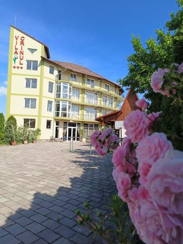 a large building with pink flowers in front of it at Vila Crinul in Baile Felix