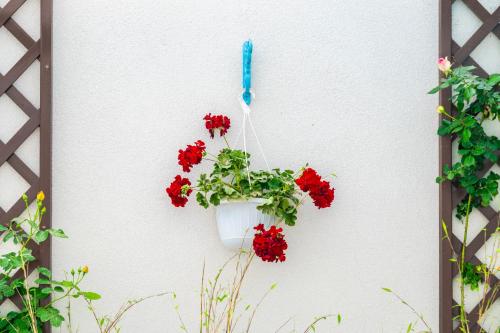 a flower pot hanging on a wall with red flowers at Babilon in Sarichioi