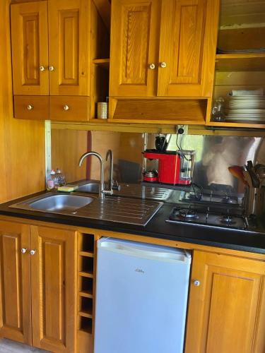 a kitchen with wooden cabinets and a sink at Bungalow charmant à Saint-Pardoux avec piscine partagée in Saint-Pardoux