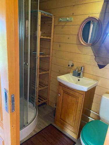 a bathroom with a sink and a shower at Bungalow charmant à Saint-Pardoux avec piscine partagée in Saint-Pardoux