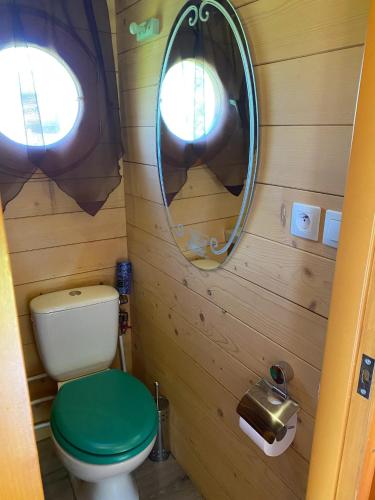 a bathroom with a toilet and a mirror at Bungalow charmant à Saint-Pardoux avec piscine partagée in Saint-Pardoux