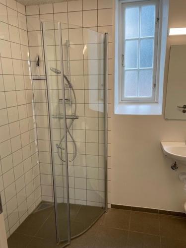 a bathroom with a glass shower with a sink at Faaborg Vandrehjem in Fåborg