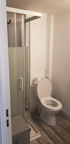 La salle de bains est pourvue de toilettes et d'une cabine de douche en verre. dans l'établissement Maisonnette au bord du lac marin, à Port-Leucate
