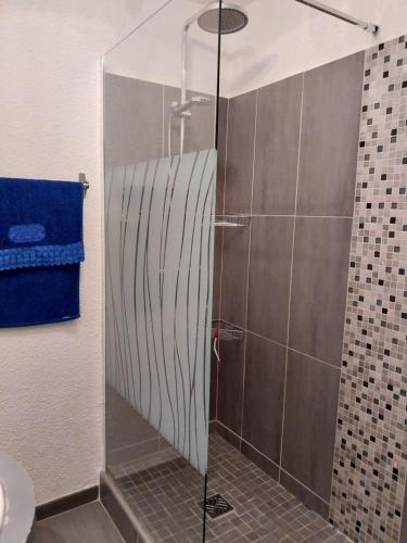 une douche avec une porte vitrée dans une salle de bain dans l'établissement T1 Lavandou La favière en rez de jardin bord de mer, à Bormes-les-Mimosas