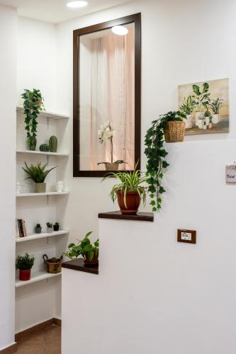 Palermo e Dintorni - Valentino Apartment photo 30