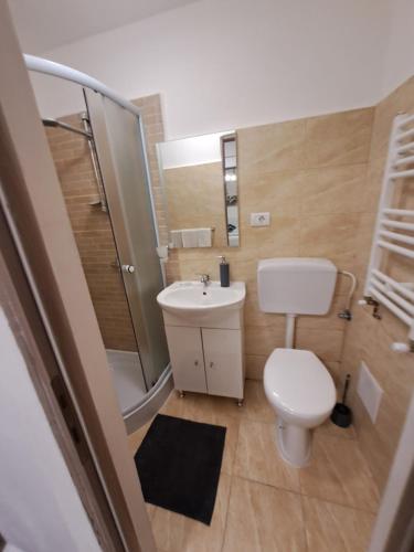a bathroom with a toilet and a sink and a shower at Garsoniera Vivere in Sibiu