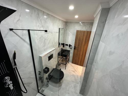 a bathroom with a shower and a toilet at TUVA VİLLA Bungalov in Çamlıhemşin