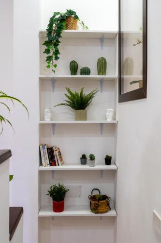Palermo e Dintorni - Valentino Apartment photo 33