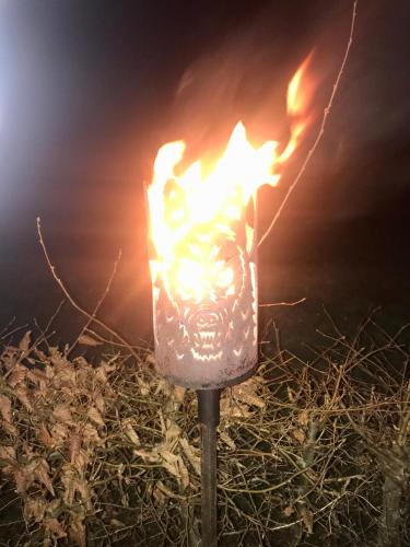 a fire sign with a face on it at night at Glampingpod in Loitz