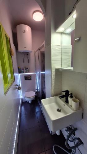 Un baño con un lavabo blanco y un inodoro. en Great Buda Apartman, en Budapest