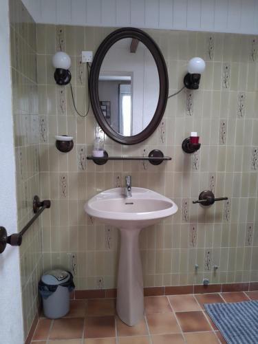 ein Badezimmer mit Waschbecken und Spiegel in der Unterkunft Gîte au cœur des châteaux de la loire in Lignières-de-Touraine