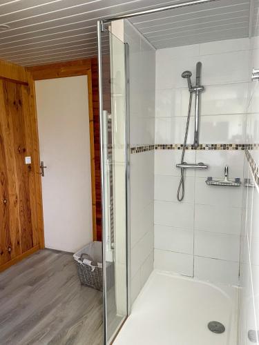 a bathroom with a shower with a glass door at Gîte de la tuilerie des Garandons in Saint-Menoux