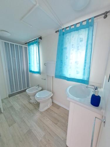 Bilik mandi di Agriturismo Alturetta