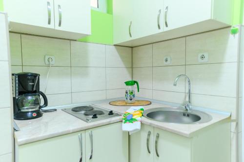 a small kitchen with a sink and a microwave at Vila Misljenovic, u centru Sokobanje, na pesackoj zoni in Soko Banja