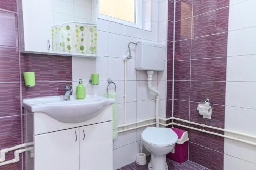 a bathroom with a toilet and a sink at Vila Misljenovic, u centru Sokobanje, na pesackoj zoni in Soko Banja