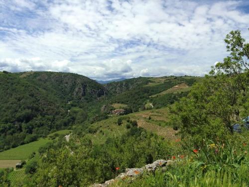 a view of a green valley with trees and hills at Gîtes de Revirand in Sarras