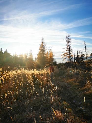 a person walking through a field of tall grass at Ferienhaus Koglegg in Wies