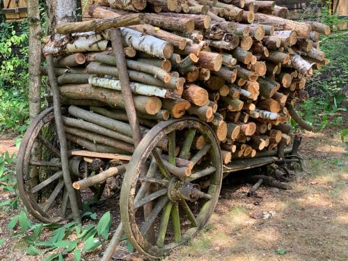 Gambar di galeri bagi Dom z linią brzegową Narwi di Pułtusk