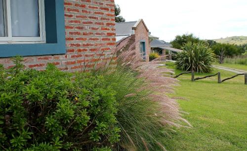 a patch of tall grass next to a brick building at Cabañas Arcángeles de Tandil in Tandil