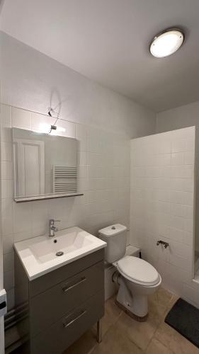 une salle de bain blanche avec des toilettes et un lavabo dans l'établissement Studio in the historical city center, à Avignon