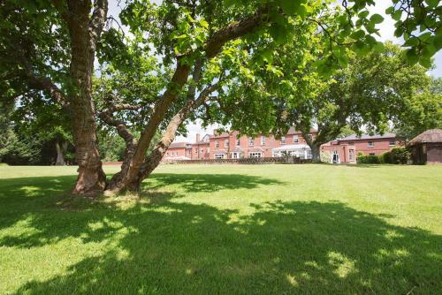 a tree in a field in front of a building at Bartley Lodge Hotel in Lyndhurst