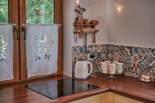 a kitchen with a counter top with a blender at Slow Orzechów in Sosnowica