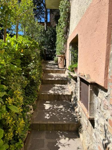 a stone walkway next to a building with plants at Casa vacanze San Rocco in San Venanzo