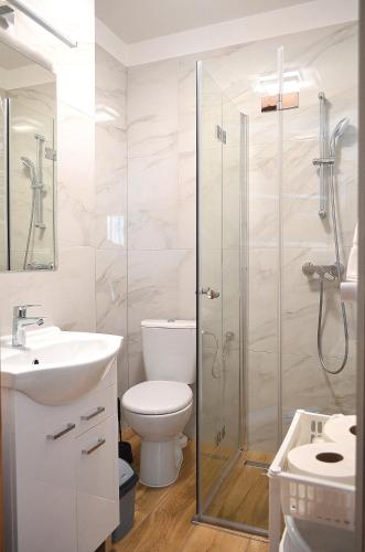 a bathroom with a shower and a toilet and a sink at Przystań Admiralska 11 in Jarosławiec