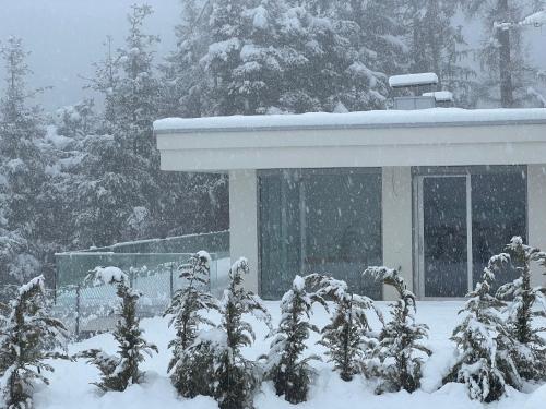 a house covered in snow in front of trees at Chalet Tschattlhof Dolomites in Ponte Nova