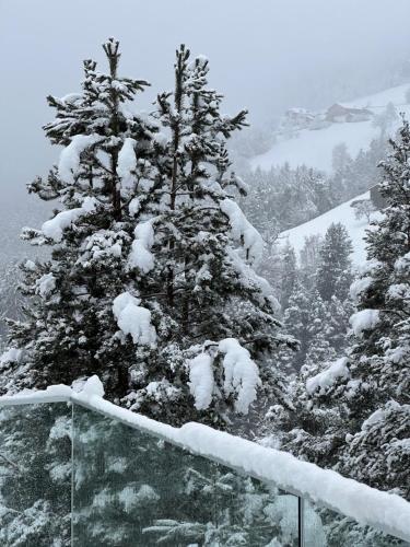 a snow covered tree on top of a mountain at Chalet Tschattlhof Dolomites in Ponte Nova