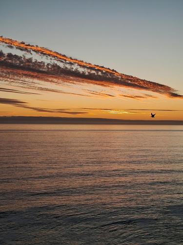 Imagen de la galería de La mejor vista de todas, en Algarrobo