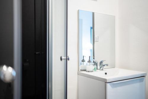 uma casa de banho com um lavatório e um espelho em Villa Vichéia - Appartement 13 em Vichy