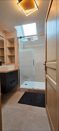 a bathroom with a shower and a glass door at Tout à pied Dourdan Appartement in Dourdan