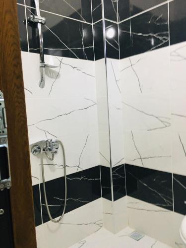 Bilik mandi di Aygün Apart