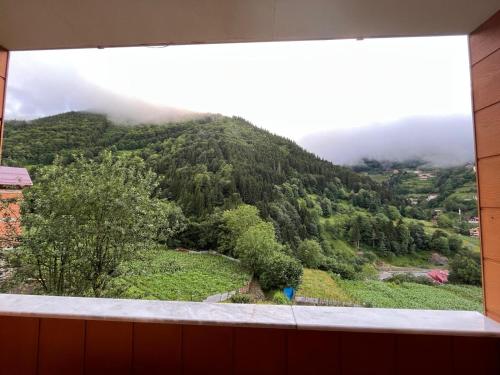 Pemandangan gunung umum atau pemandangan gunung yang diambil dari apartmen