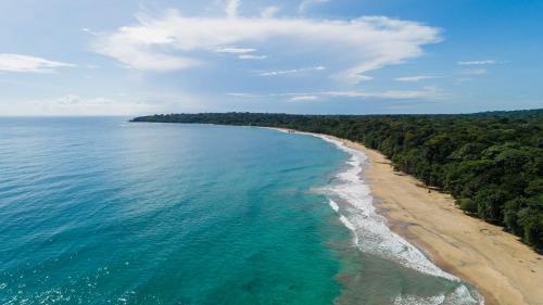 an aerial view of the beach and ocean at Almonds and Corals Jungle Resort in Puerto Viejo
