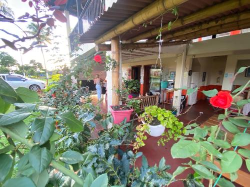 Zahrada ubytování Finca hotel los cocos