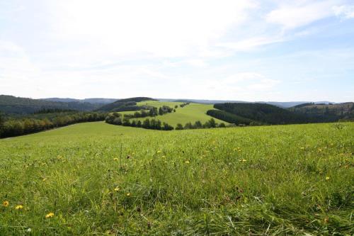a field of green grass with hills in the background at Landhaus Gnacke in Schmallenberg