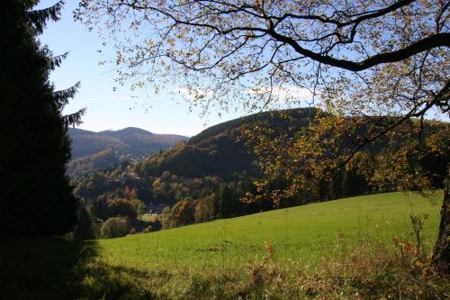 a green hillside with a green field and trees at Landhaus Gnacke in Schmallenberg