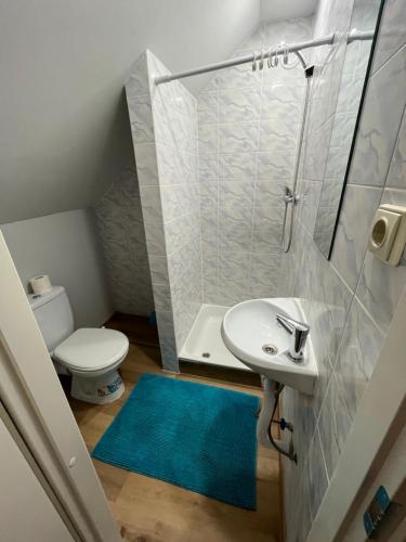 Koupelna v ubytování Naisiai2
