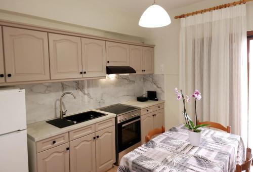 Kuchyň nebo kuchyňský kout v ubytování Paradosi Apartments
