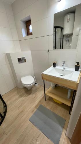 a bathroom with a sink and a toilet at Domki pod Dębami in Choczewo
