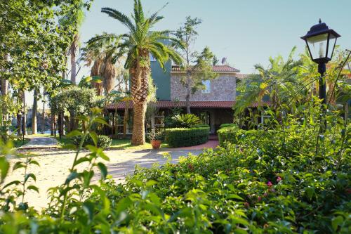 a building with a palm tree and a street light at B&B La Villa in Giardini Naxos