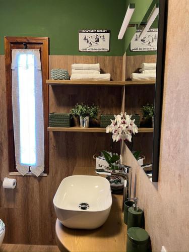 a bathroom with a white sink and a mirror at Mandi Mandi in pista in Tarvisio